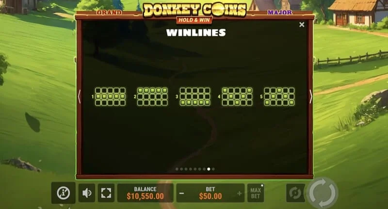 Donkey Coins Hold & Win - 特別モードでの大きな勝利